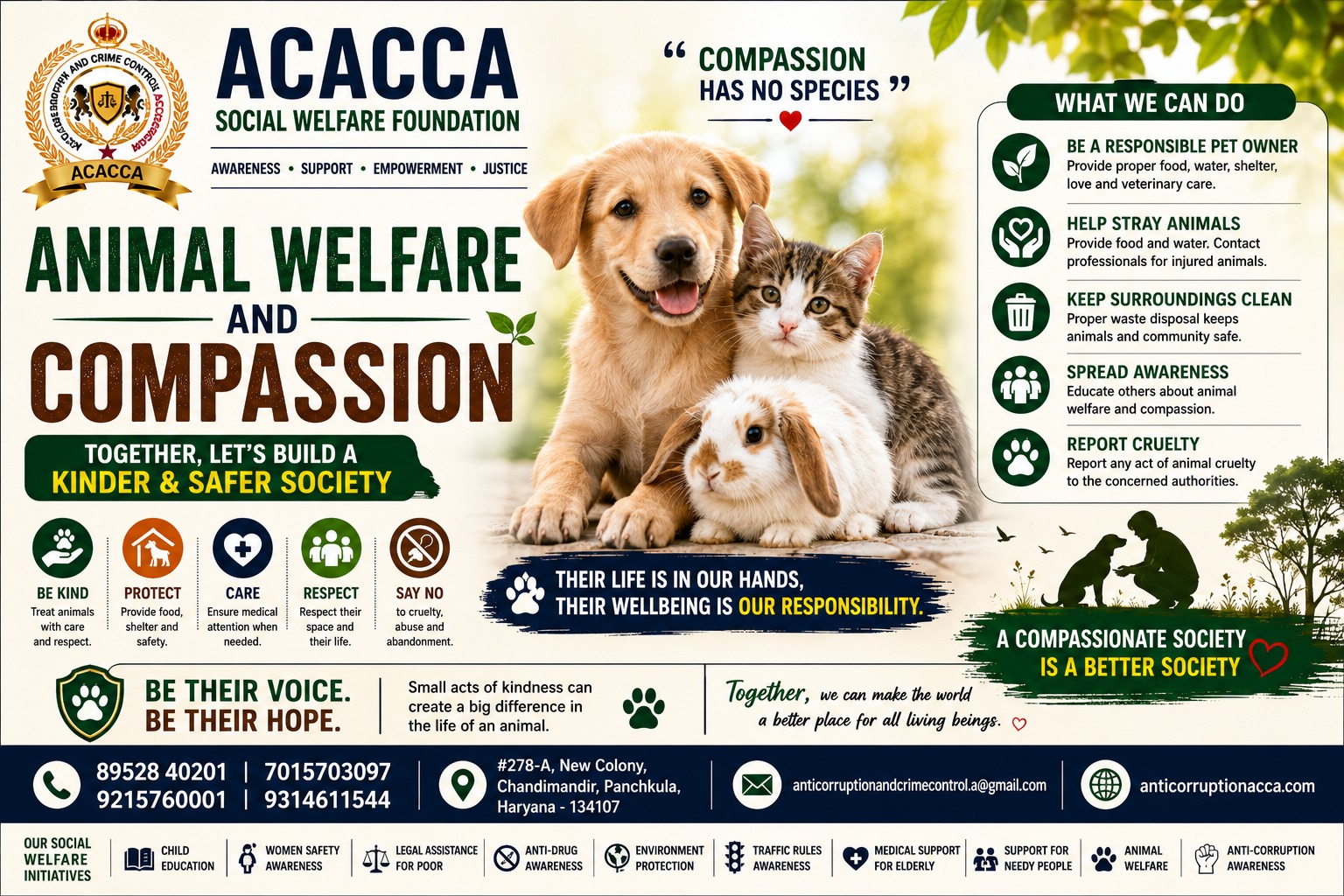 Animal Welfare and Compassion: Why Protecting Animals Matters to Society